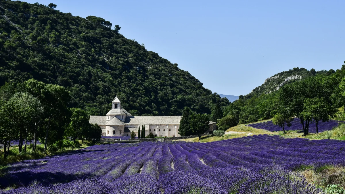 7 Stunning European Destinations for Spring Flowers Abbaye Notre-Dame de Sénanque, Gordes, France