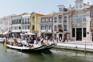 Moliceiro boats