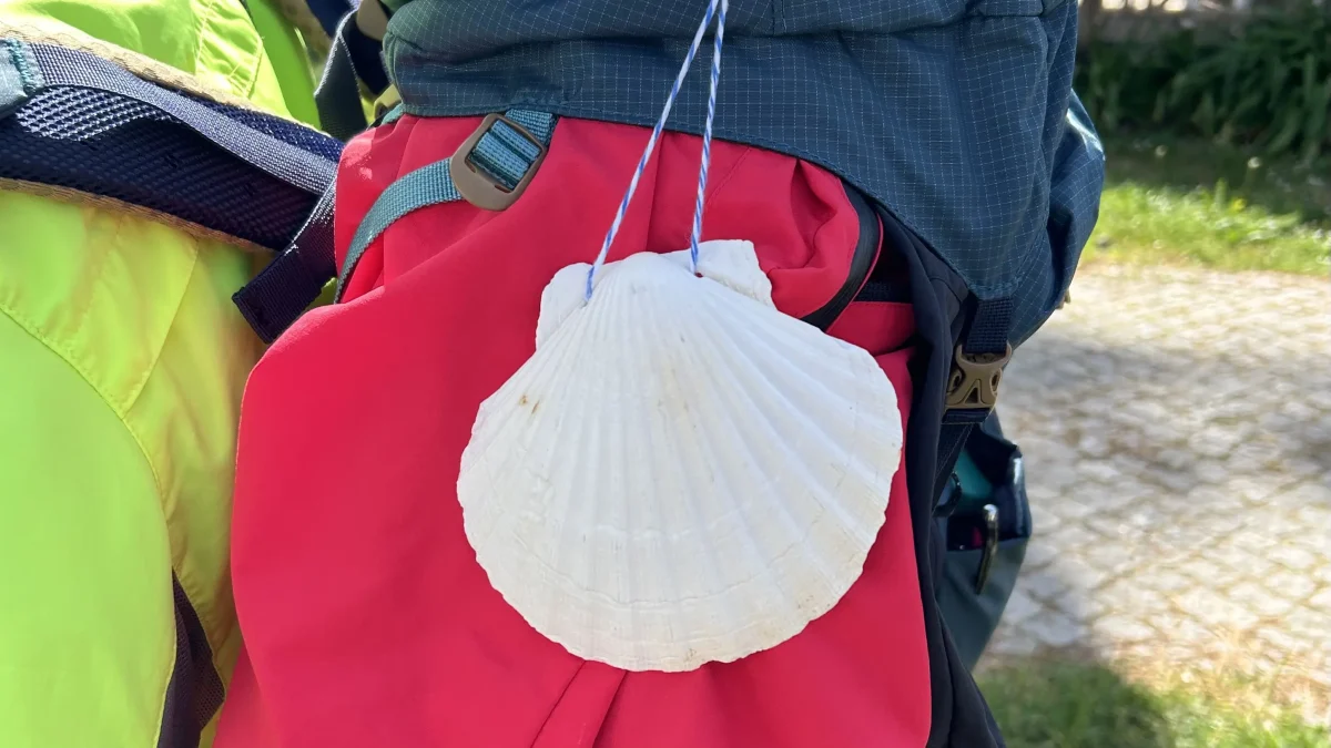 Detailed map of Camino de Santiago routes