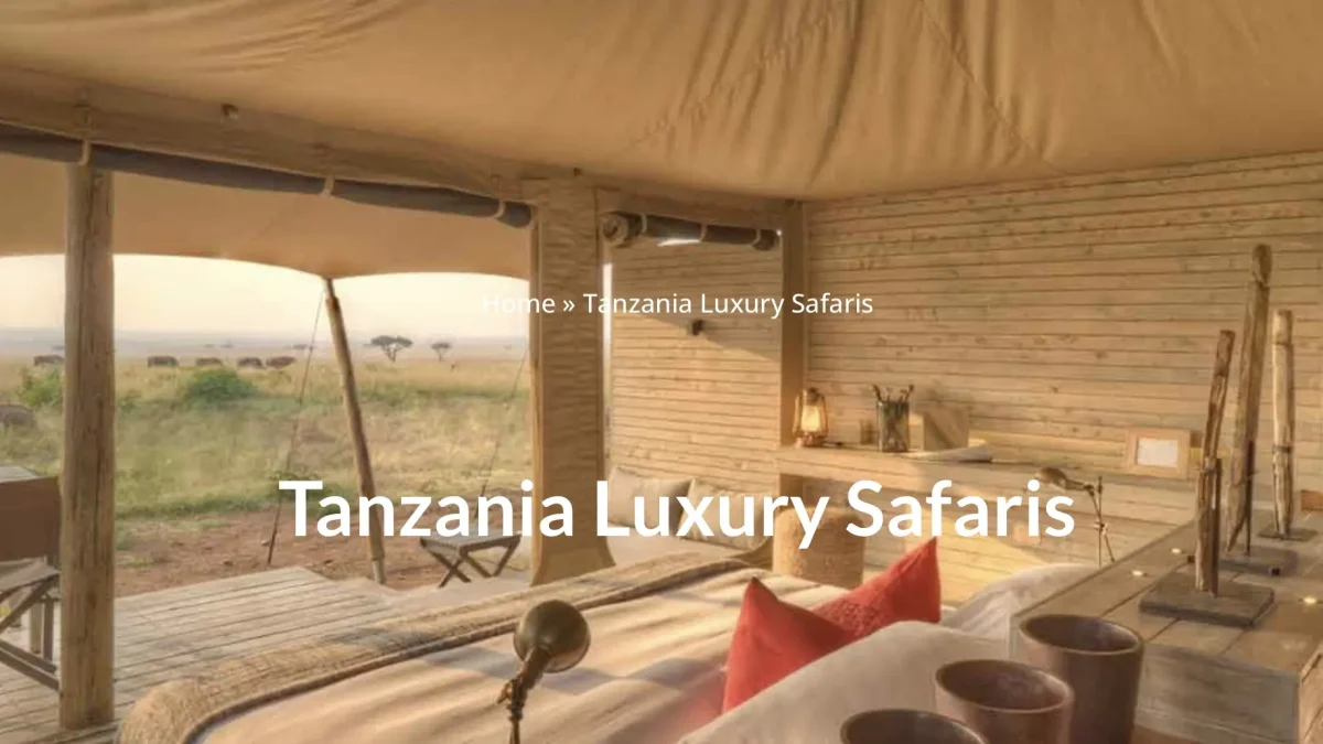 Exploring the Wonders of Africa great image expedition luxury safari