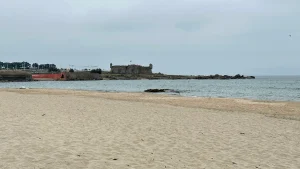 Matosinhos