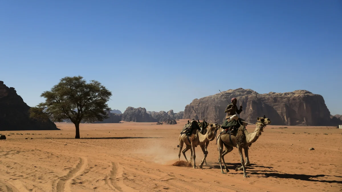 Top 10 Things to Do & activities in Jordan