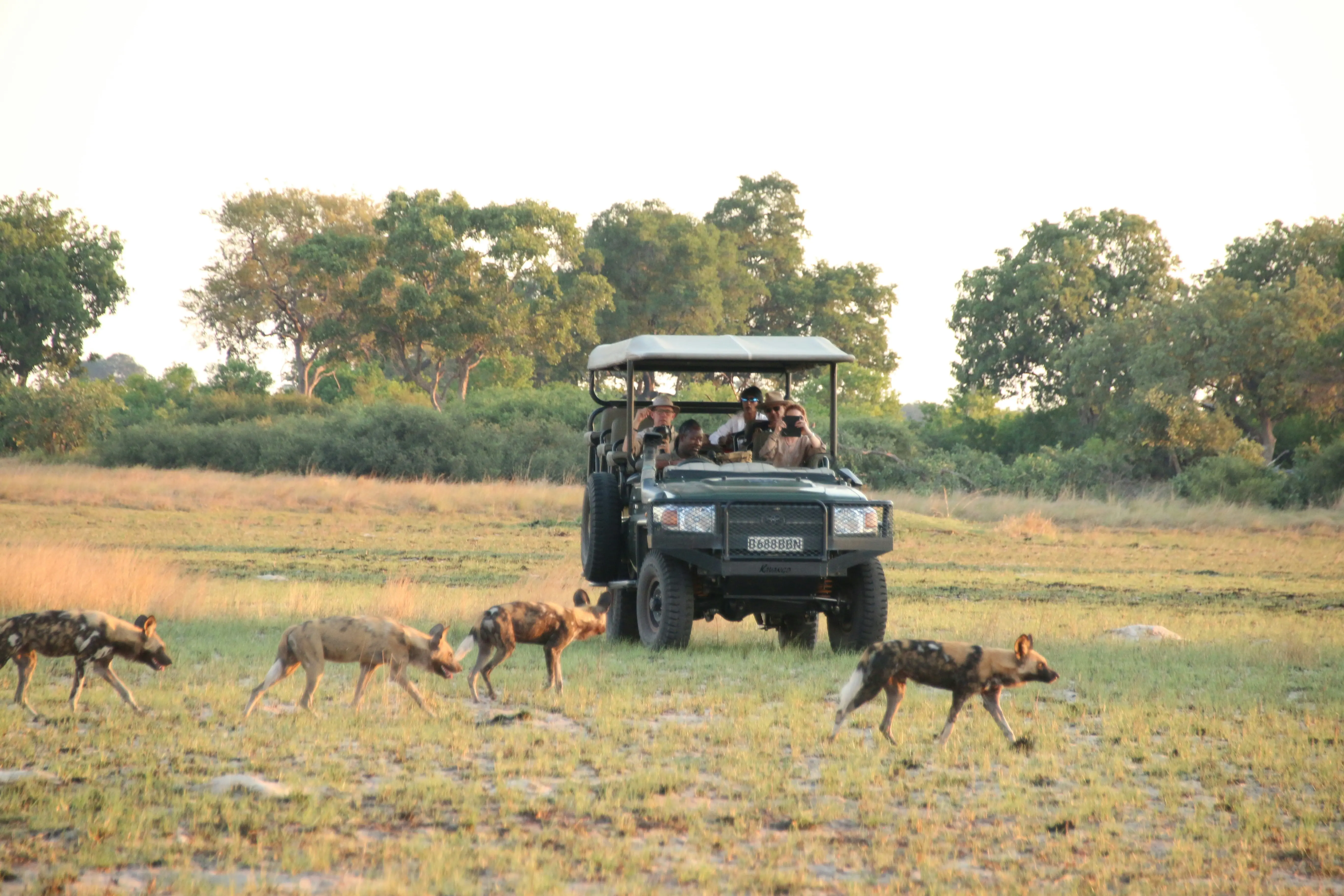 World Tours & Safaris Tanzania Slider Image